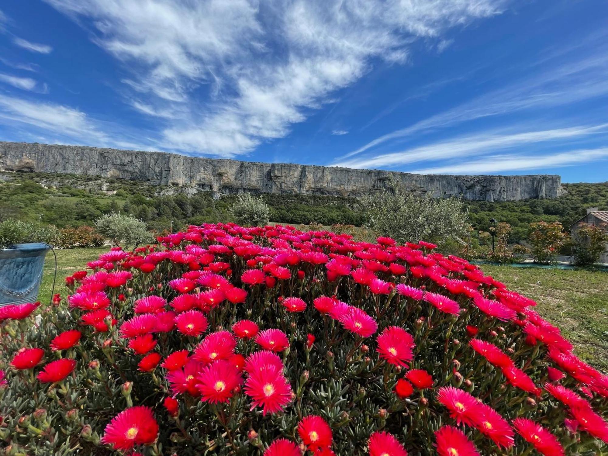 Gite La Madeleine Du Luberon. Lioux Dış mekan fotoğraf